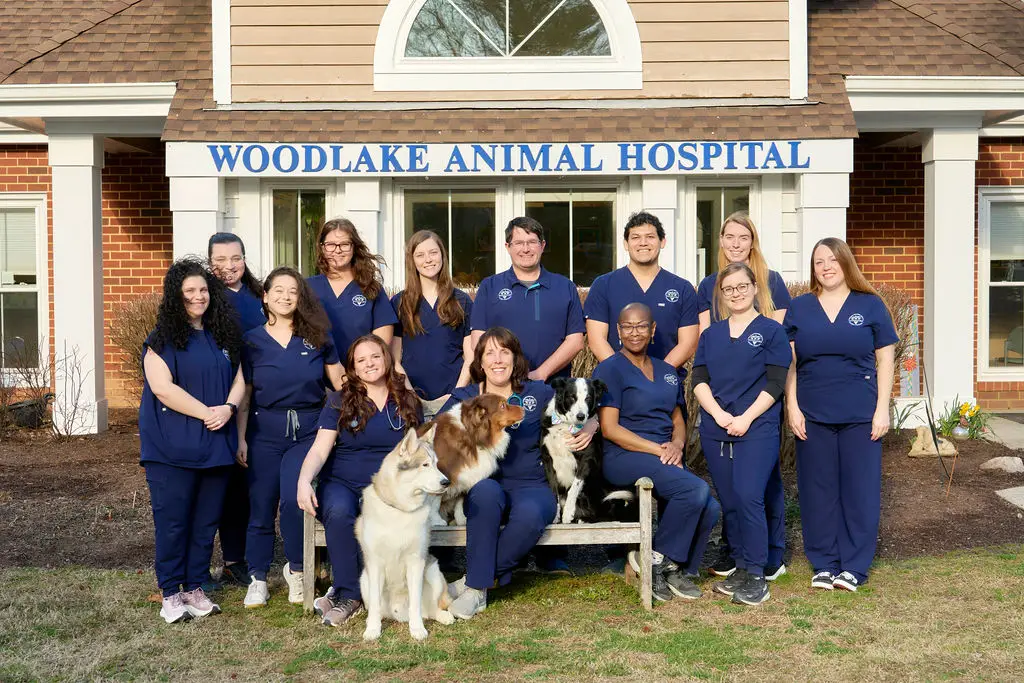 The veterinary team at Woodlake Animal Hospital in Midlothian, VA, pictured outside the practice with pets